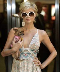 Paris Hilton unveils her another talent - designer of clothes