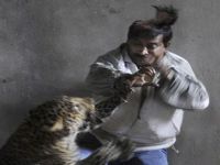 India: Man scalped by leopard. 46342.jpeg