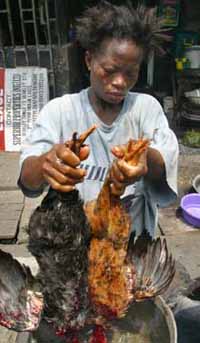 Nigeria chicken markets open a day after first human bird-flu death
