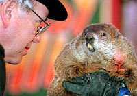 Punxsutawney Phil to tell whether spring comes early this year