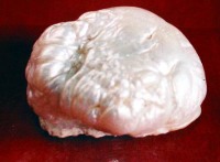 World's largest available natural pearl to be auctioned