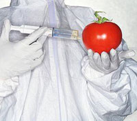 Genetically Modified Food To Make Mankind Retarted Already in 21 Century