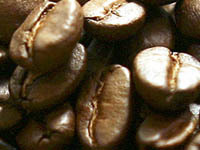 Coffee rust causes state of emergency in Central America. 49390.jpeg