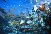 Scientists Find 'Garbage Patch' In Pacific