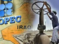 OPEC to forgo production cut