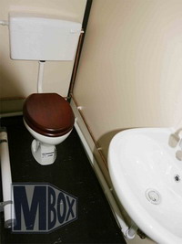 Court to decide whether woman commits crime cursing at her toilet