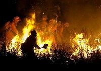 Wildfires in California demand new fighting strategies