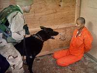 Nudity was interrogation tactic used in Abu Ghraib prison