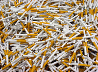 Tobacco to kill 6 million in 2011. 44479.jpeg