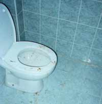 Toilet business can bring staggering profit of 900 percent