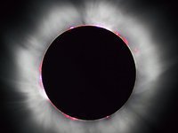 Total eclipse of the sun can be observed on November 13. 48489.jpeg
