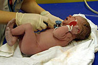 Babies swap investigated in Czech Republic