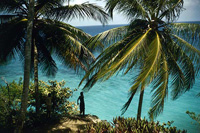 Foreign Tourists Continue to Travel to Jamaica Despite Drug Violence