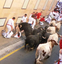 Man takes his ten-year-old son to running with bulls festival in Spain