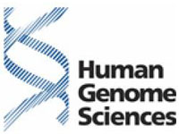 Human Genome Sciences Lacks Research Work