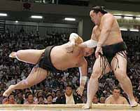 Sumo's top star grapples with match-fixing scandal