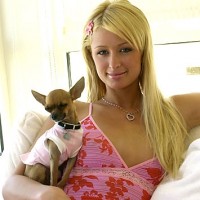 Paris Hilton settles court dispute with diamond heiress Zeta Graff