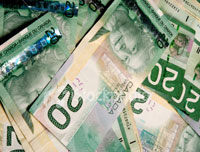 Strong loonie may lead Canadian economy to collapse