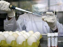 Second bird flu case found in Iraq, according to results from U.N.-certified lab in Egypt