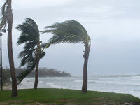 Tropical storm Chantal forms in Atlantic. 50531.jpeg