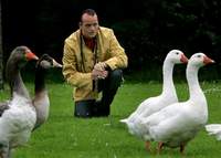 Man from Amsterdam communicates with geese like magician