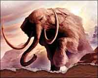 Scientists dreams of resuscitation of mammoth