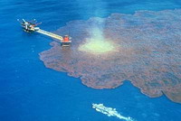 Oil spill threatens San Francisco Bay wildlife