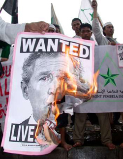 Malaysian Muslims burn Bush picture protesting against prophet cartoons