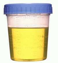 People flush 580 billion liters of urine every three months