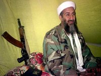 Bin Laden is Bosnian and Karadzic is in the Dock?