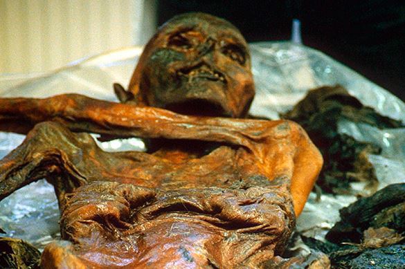 Scientists study genetic material of ancient mummies. 60599.jpeg