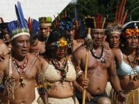 Brazil's indigenous population. 48601.jpeg