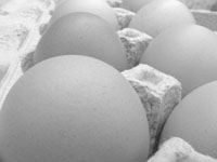 Careless driver spills 165,000 eggs blocking traffic in Virginia