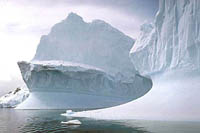 Hotspots of life surround drifting icebergs near Antarctica