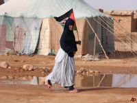 Saharawi, Western Sahara: Repression increases, freedom and rights squashed. 45626.jpeg