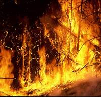 Firefighters battle with fires across central Italy