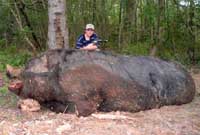 Officials in Alabama look into Monster Hog tale killed by teen boy