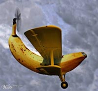 Gigantic banana to fly over Texas on its way from Mexico