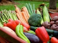 Is organic food safe?. 44672.jpeg