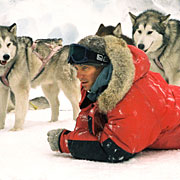 'Eight Below' mushes to No. 1 U.S. movie debut with  million