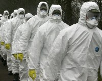 Several cases of bird flu discovered in southern Germany