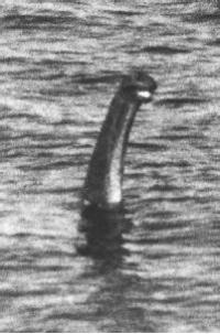 Loch Ness monster aficionados got finest photo og his 