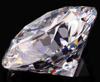 Golden Retriever Swallows Diamond Worth ,000 in NY