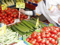 Russia to increase production of GMO despite scientific uncertainty. 50697.jpeg