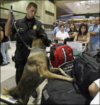 Broken water pipe floods Los Angeles International Airport terminal Broken water pipe floods Los Angeles International Airport terminal