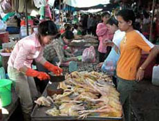 Thailand bans poultry imports from Europe