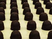 Ebola epidemic to trigger shortage of chocolate. 53778.jpeg