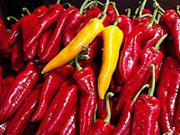 Hot chilli peppers kill prostate cancer cells