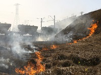 Spring grass burning is troubling Russia. 49809.jpeg