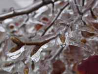 Ice storms continue to claim more victims in USA